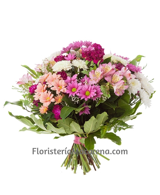 Ramo Flores Grecia | Floristería Macarena | Flores a Domicilio