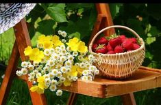 Centro de Flores a Domicilio, Floristería de Sevilla, Regalar Centros de Flores en Sevilla, Regalar Flores para Sevilla, Enviar Flores de Regalo