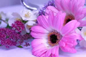 Ramo Flores Viena, Floristerías en Sevilla, Ramo Blanco para Regalar, Flores en Sevilla, Arreglos Florales, Comprar Flores Online
