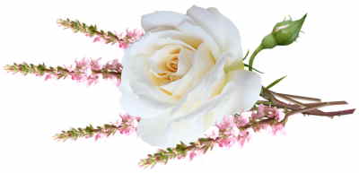 Bouquet Flores Dinamarca, Flores para Regalar, Floristería Online, Ramos de Flores, Arreglos Florales, Floristerías en Sevilla